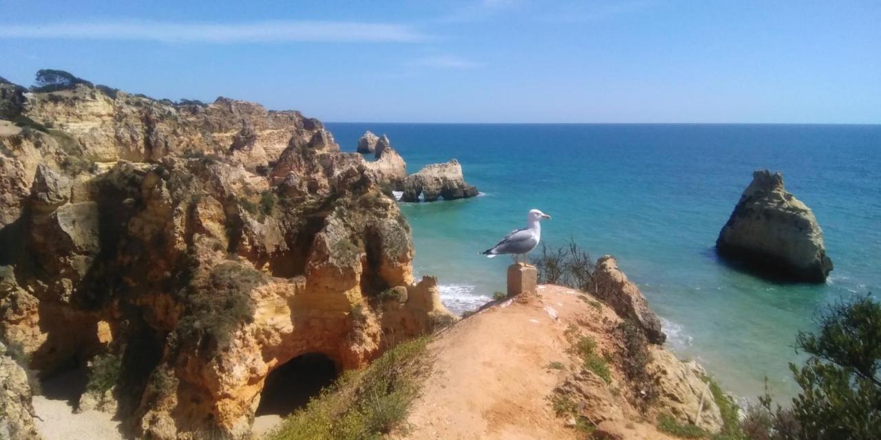 T2 De Luxo Em Albur-Village A 10 Minutos Da Praia A Pe Alvor Exterior photo